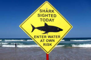 shark attack prevention technology