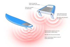 shark attack prevention technology