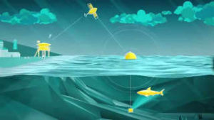 shark attack prevention technology